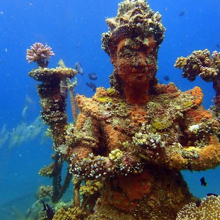 Biorock Homestay & Dive Center Pemuteran エクステリア 写真