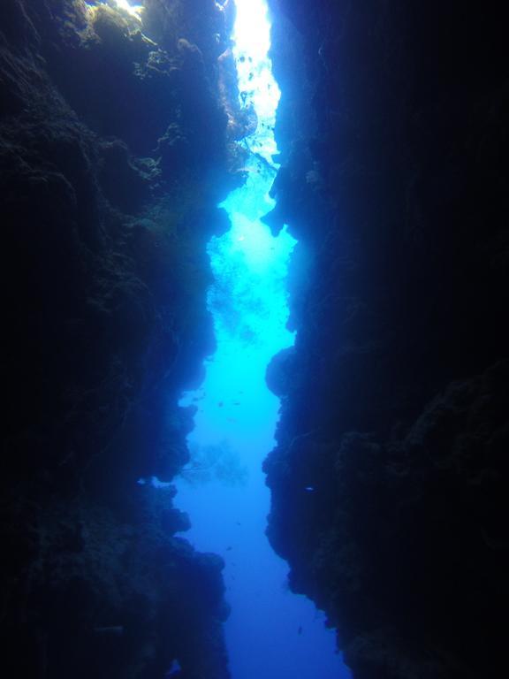 Biorock Homestay & Dive Center Pemuteran エクステリア 写真
