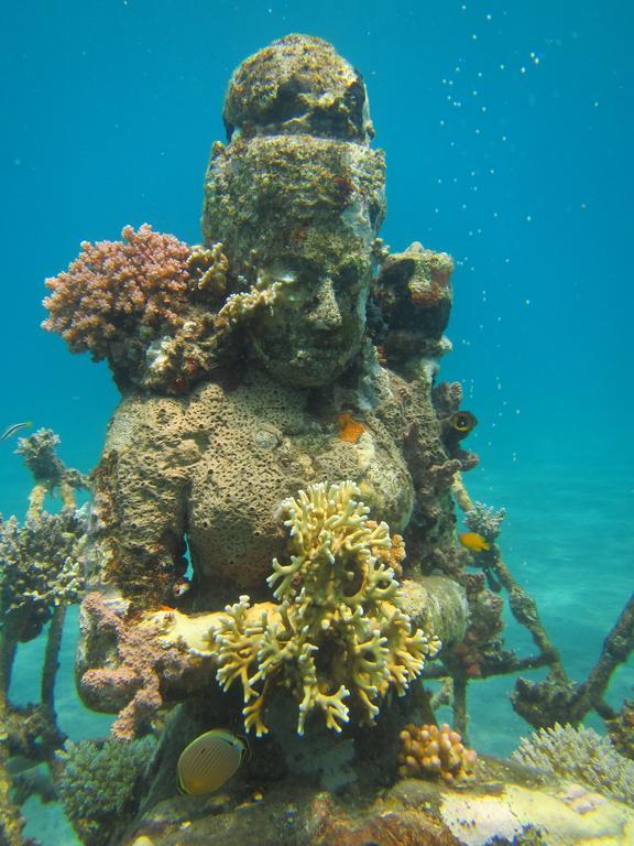 Biorock Homestay & Dive Center Pemuteran エクステリア 写真