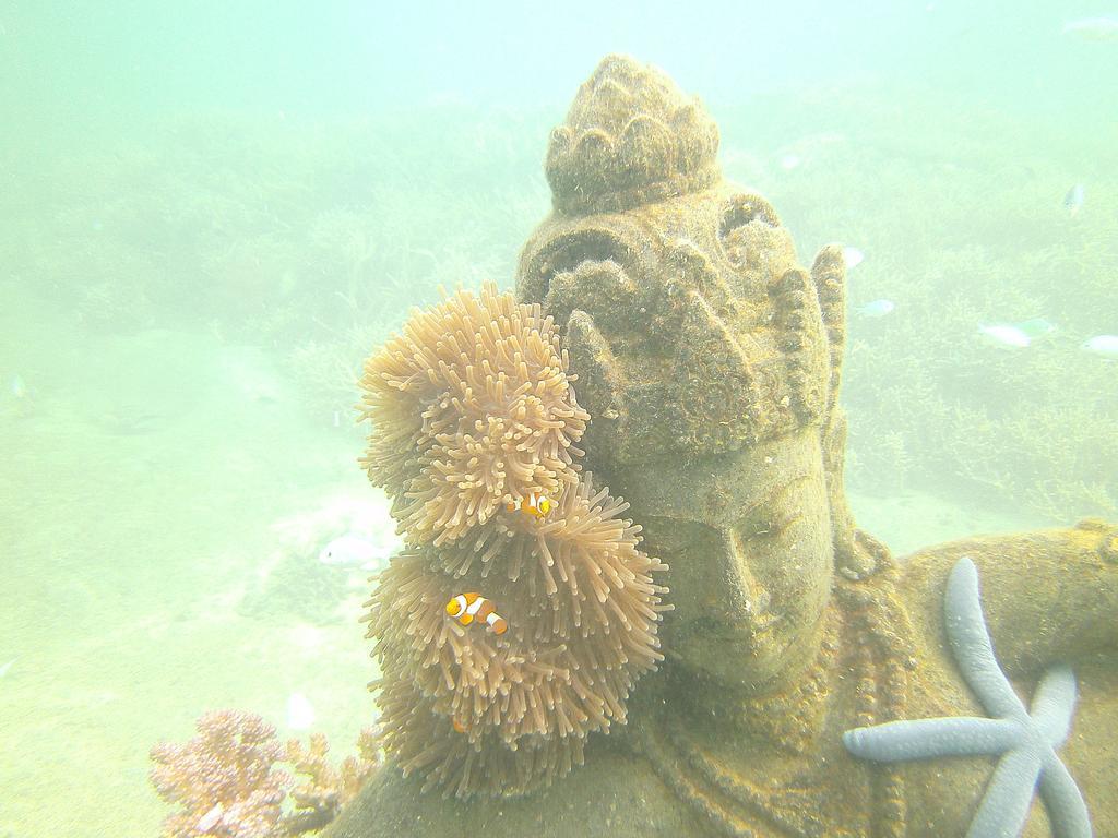 Biorock Homestay & Dive Center Pemuteran エクステリア 写真