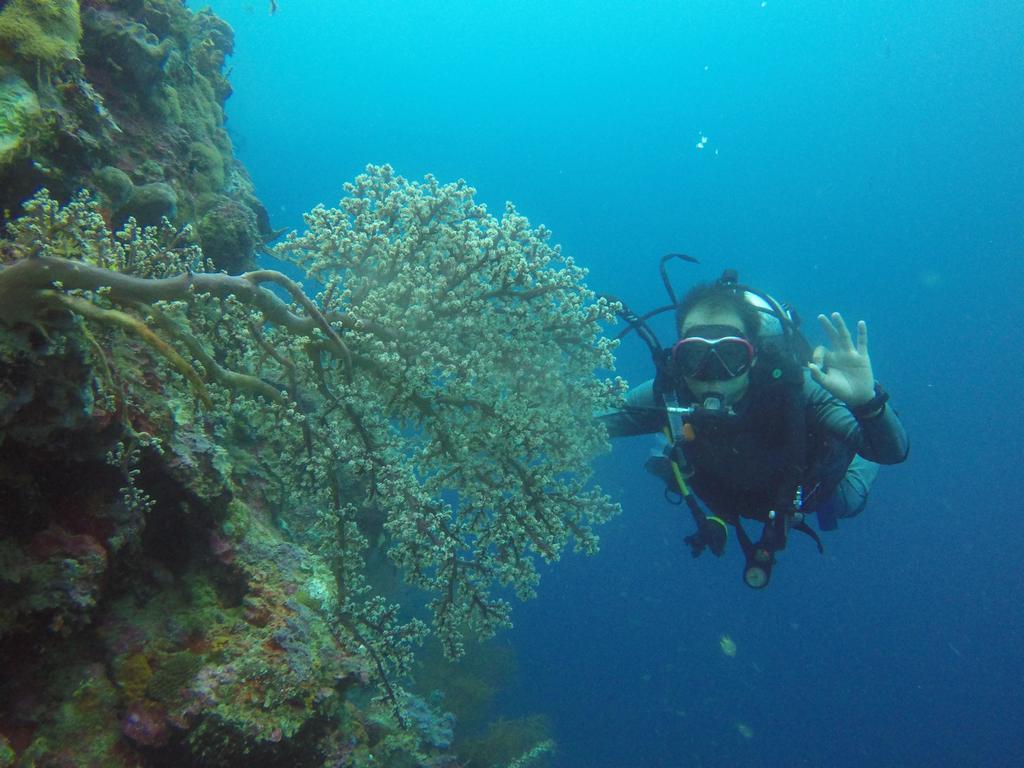 Biorock Homestay & Dive Center Pemuteran エクステリア 写真