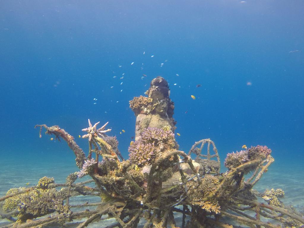 Biorock Homestay & Dive Center Pemuteran エクステリア 写真