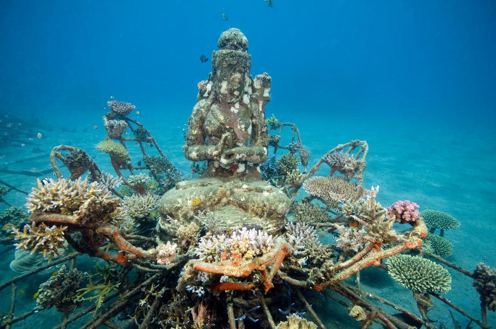 Biorock Homestay & Dive Center Pemuteran エクステリア 写真