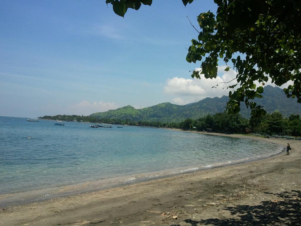 Biorock Homestay & Dive Center Pemuteran エクステリア 写真
