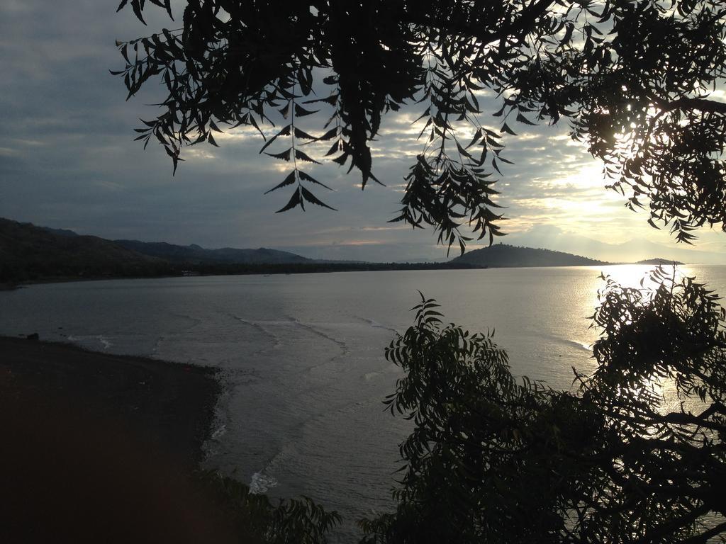 Biorock Homestay & Dive Center Pemuteran エクステリア 写真