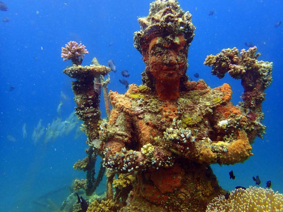 Biorock Homestay & Dive Center Pemuteran エクステリア 写真